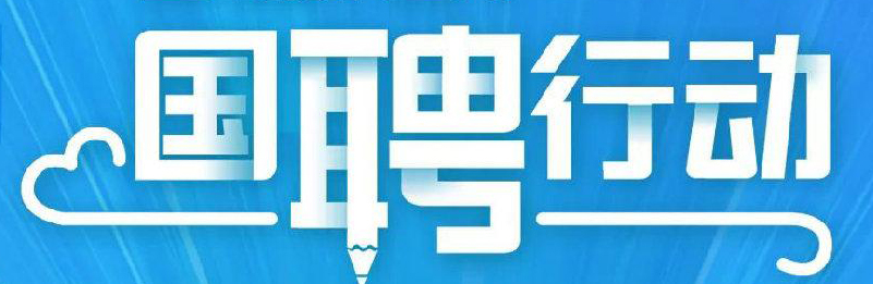 国聘行动